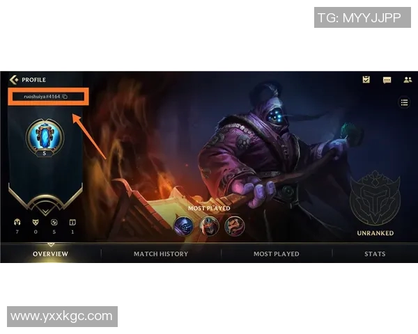 esports数据揭秘英雄联盟成功秘诀的专访刘芳分享游戏背后的故事与策略